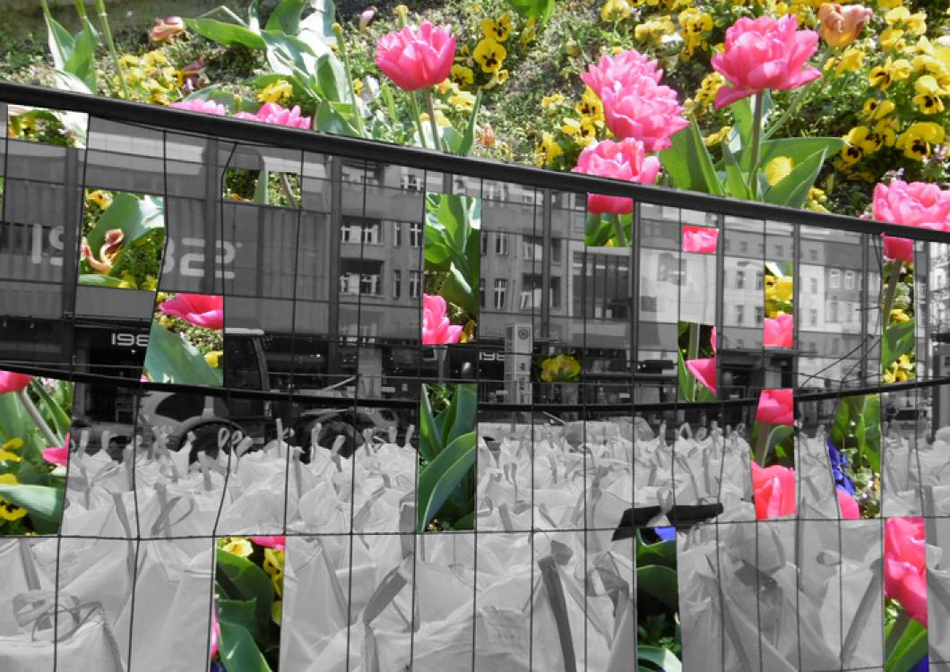 Bauzaun und Blumen